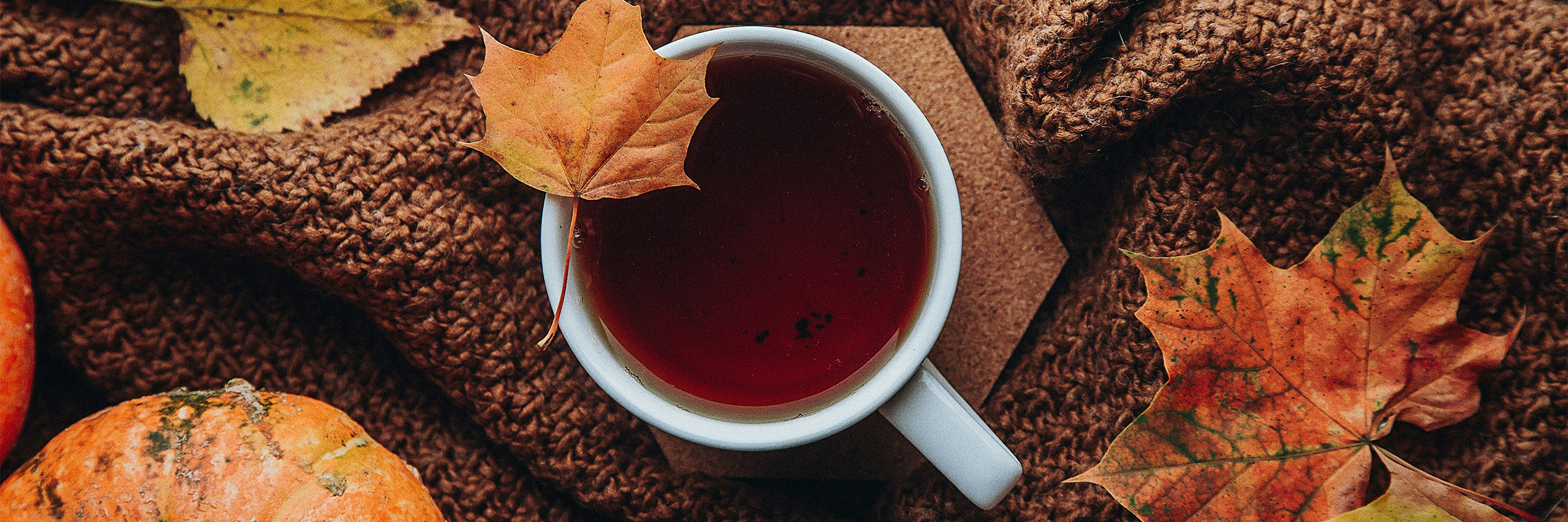Warming Brews: Top 5 Autumn Teas