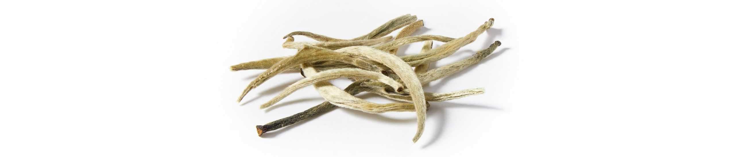 A pile of low caffeine Ceylon silver tips loose leaf tea