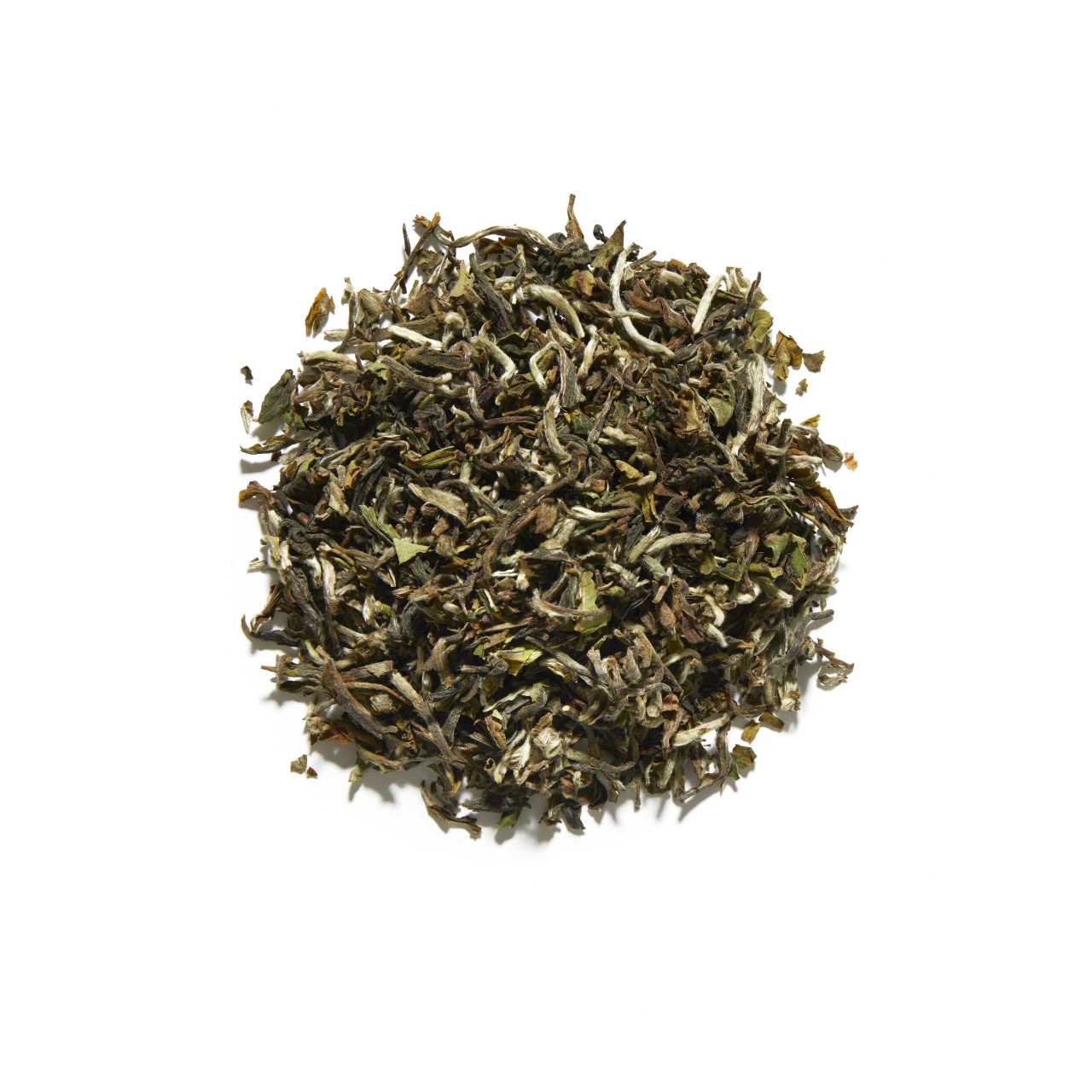 Upper Namring Darjeeling First Flush Loose Leaf Tea arranged in a circle