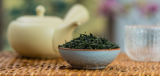 The Ultimate Guide to Green Tea