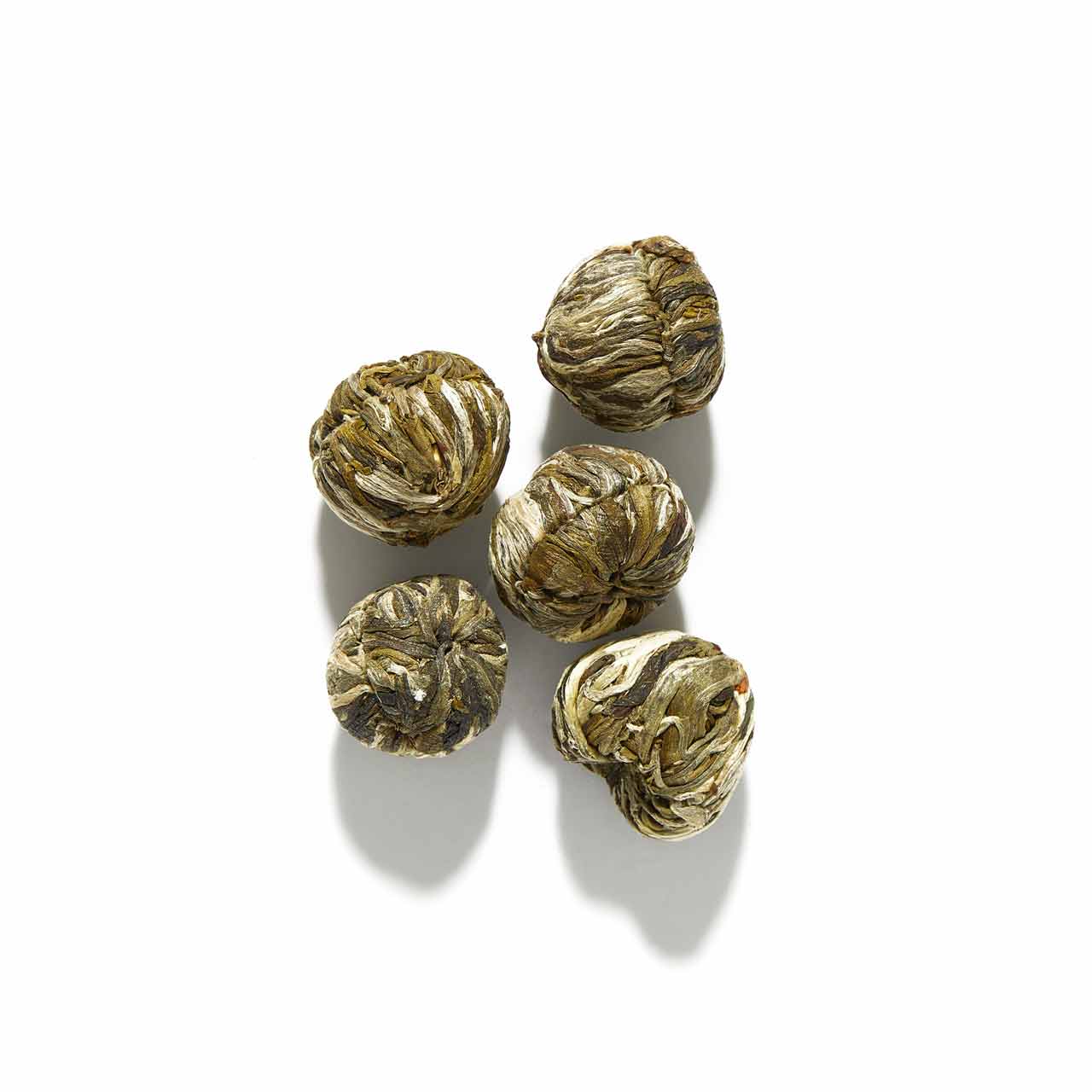 Queen Charlotte - Flowering Tea Bulbs