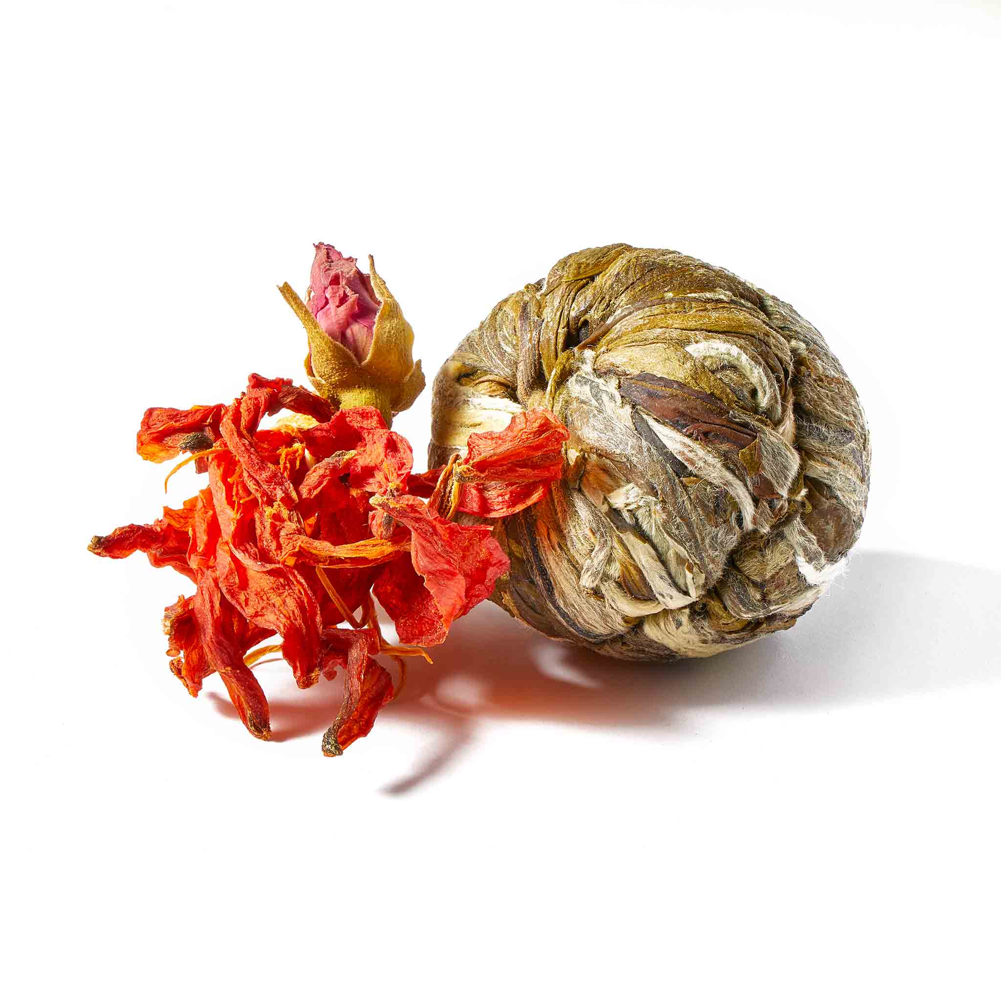 Queen Charlotte - Flowering Tea Bulbs