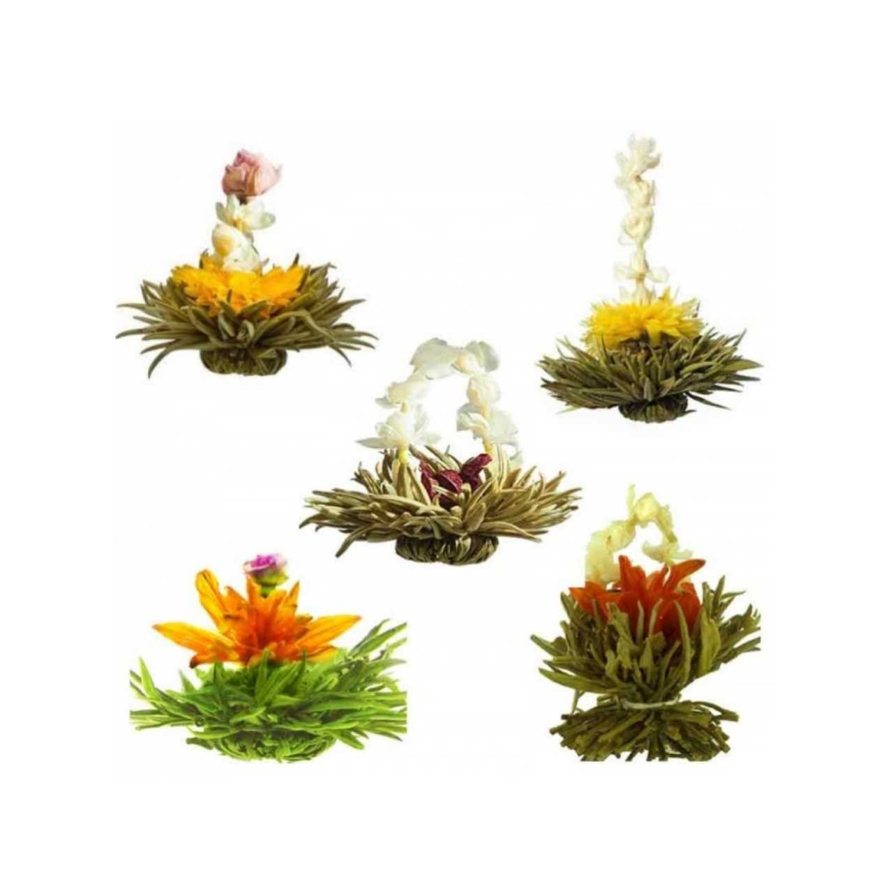 Artisan Flowering Tea Bulbs Gift Set with 5 Bulbs